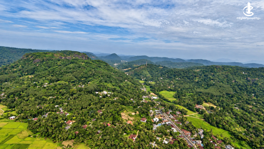 Land for Sale in Gampaha - Paddy Land for Sale in Madabawita, Gampaha District - photo 1