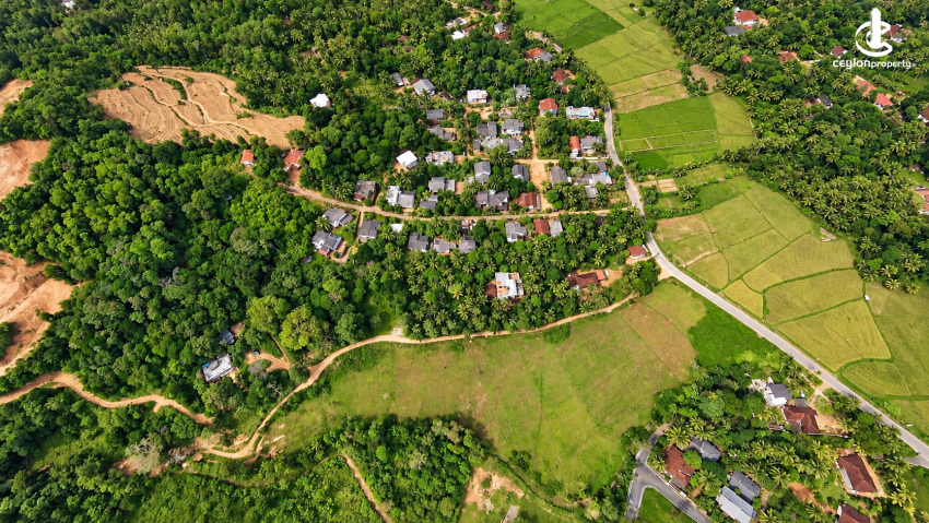 Land for Sale in Gampaha - Paddy Land for Sale in Madabawita, Gampaha District - photo 2
