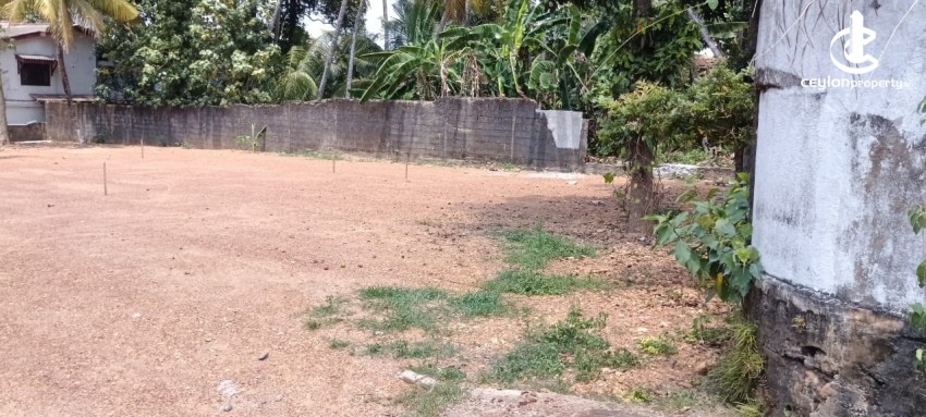Land for Sale in Piliyandala - Land for Sale in Parana Para, Piliyandala - photo 4