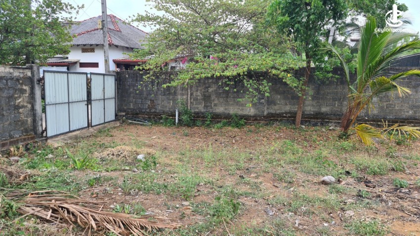 Land for Sale in Panadura - Land for Sale near Panadura Galle Road - photo 2