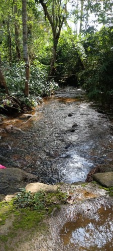 Land for Sale in Ratnapura - 14-acre plot of land is situated along the Sinharaja–Ratnapura Road - photo 2