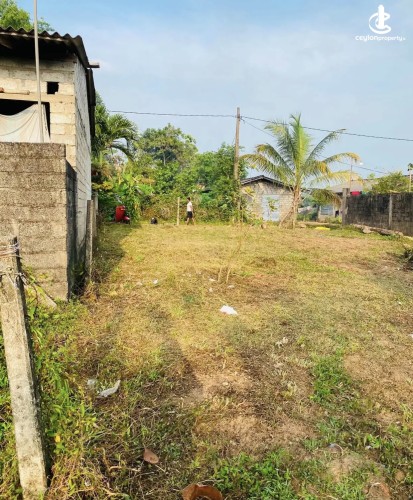Land for Sale in Kalutara - Land for sale in payagaal - photo 1