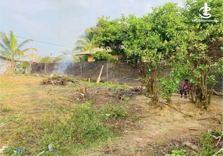 Land for Sale in Kalutara - Land for sale in payagaal - photo 2