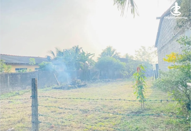 Land for Sale in Kalutara - Land for sale in payagaal - photo 3