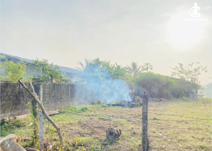 Land for Sale in Kalutara - Land for sale in payagaal - photo 4