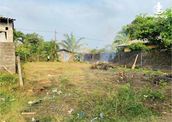 Land for Sale in Kalutara - Land for sale in payagaal - photo 5