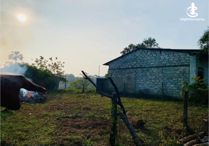 Land for Sale in Kalutara - Land for sale in payagaal - photo 6