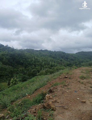 Land for Sale in Agalawatta - Land for sale in agalawatta - photo 3