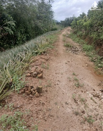 Land for Sale in Agalawatta - Land for sale in agalawatta - photo 7