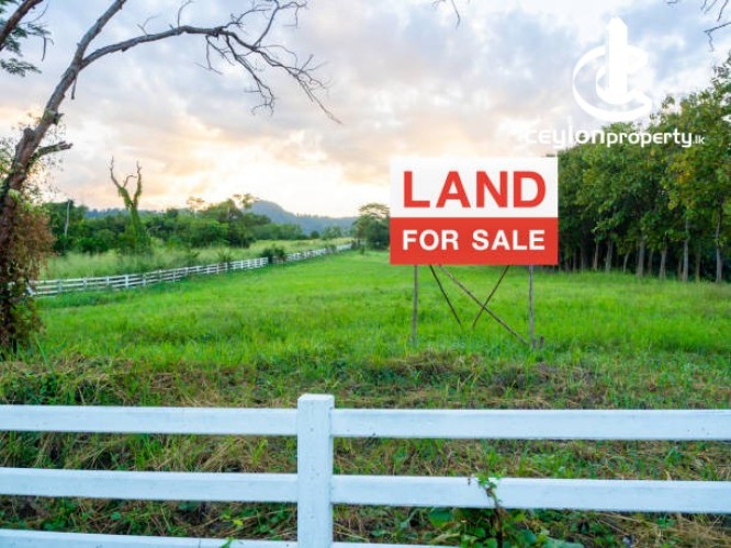 Land for Sale in Ibbagamuwa - Land for sale in ibbagamuwa - photo 1