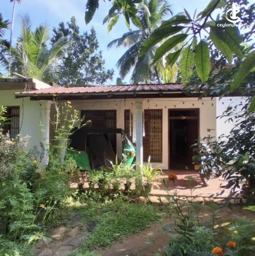 Land for Sale in Matale - Land for sale in matale - photo 3