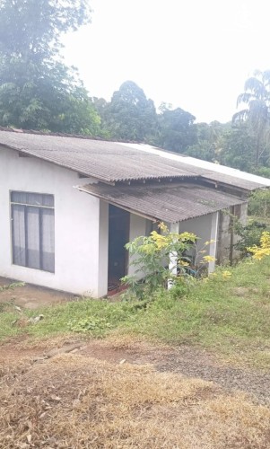 Land for Sale in Gampaha - Land for sale in gampaha - photo 1