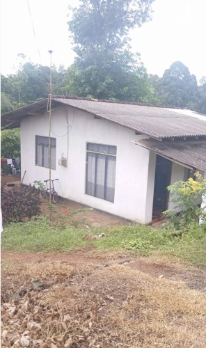 Land for Sale in Gampaha - Land for sale in gampaha - photo 2