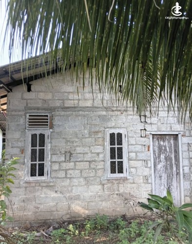 Land for Sale in Pugoda - Land for sale in pugoda - photo 2