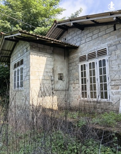 Land for Sale in Pugoda - Land for sale in pugoda - photo 4