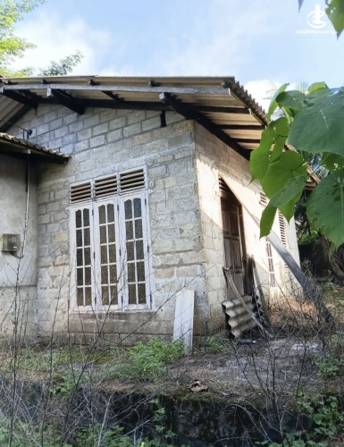 Land for Sale in Pugoda - Land for sale in pugoda - photo 5