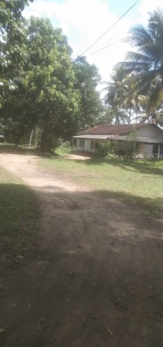 Land for Sale in Hanwella - Land for sale in hanwella - photo 4
