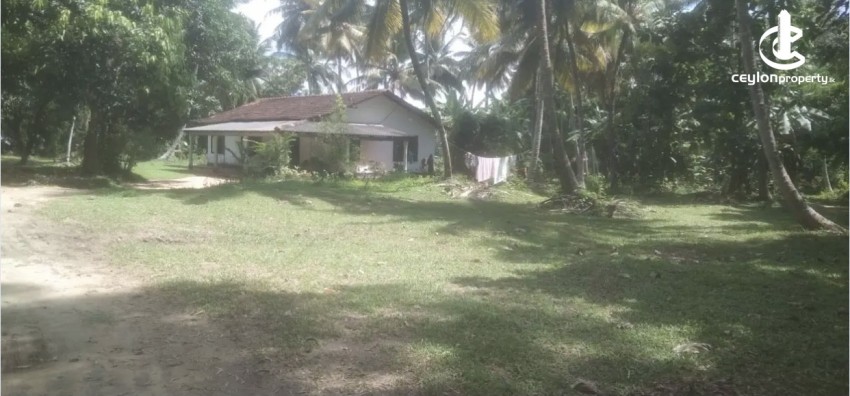 Land for Sale in Hanwella - Land for sale in hanwella - photo 6