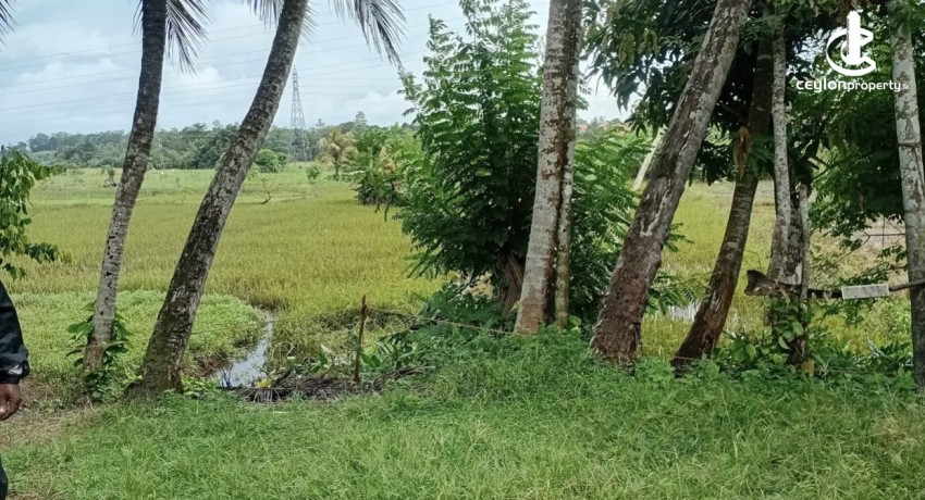 Land for Sale in Galle - Land for sale in galle - photo 2