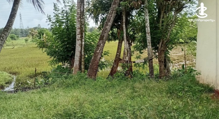 Land for Sale in Galle - Land for sale in galle - photo 3