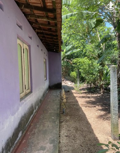 Land for Sale in Gampaha - Land for sale in gampaha - photo 5