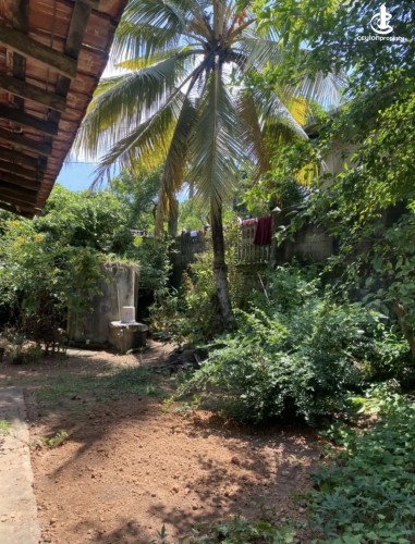 Land for Sale in Gampaha - Land for sale in gampaha - photo 6