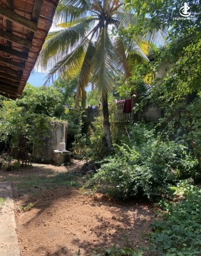 Land for Sale in Gampaha - Land for sale in gampaha - photo 7