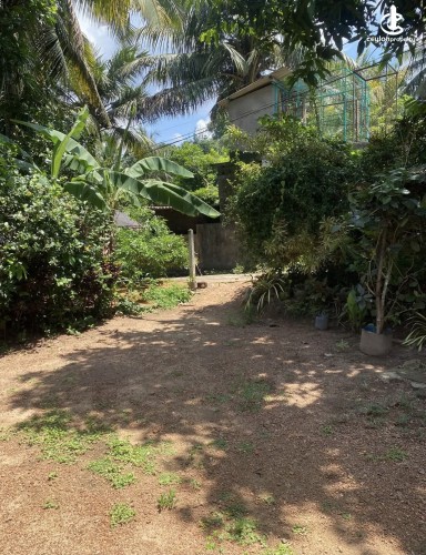 Land for Sale in Gampaha - Land for sale in gampaha - photo 10