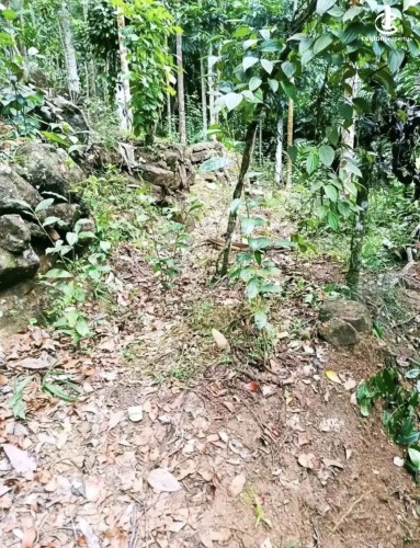 Land for Sale in Avissawella - Land for sale in awissawella - photo 9