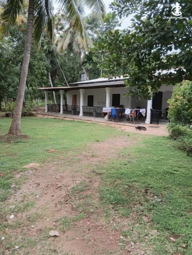 Land for Sale in Dambulla - Land for sale in Dambulla - photo 3
