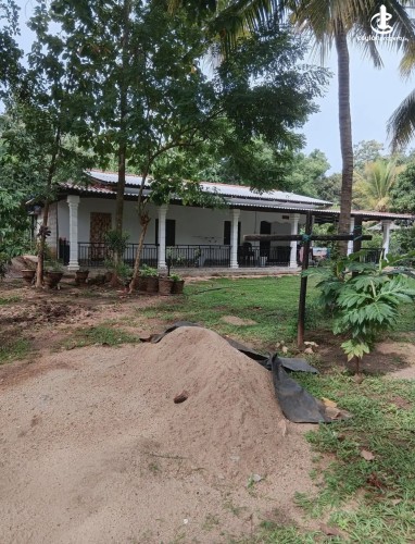 Land for Sale in Dambulla - Land for sale in Dambulla - photo 5