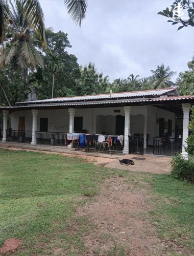 Land for Sale in Dambulla - Land for sale in Dambulla - photo 6