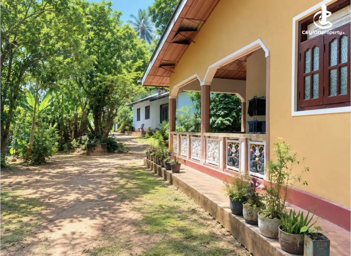Land for Sale in Matale - Land for sale in matale - photo 3
