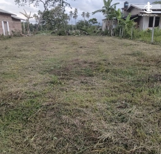 Land for Sale in Ibbagamuwa - Land for sale in ibbagamuwa - photo 1