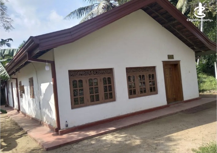 Land for Sale in Mirigama - Land for sale in meerigama - photo 2