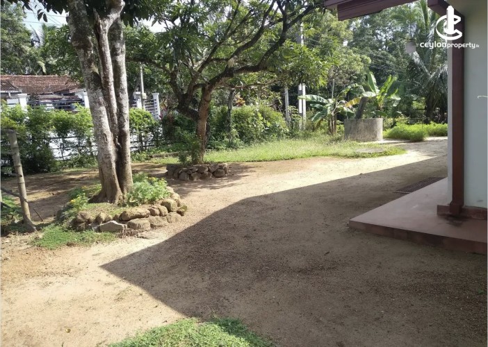 Land for Sale in Mirigama - Land for sale in meerigama - photo 4