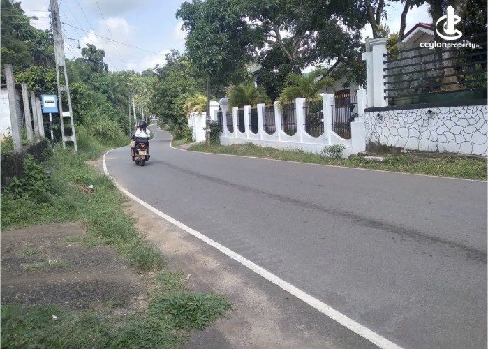 Land for Sale in Mirigama - Land for sale in meerigama - photo 7
