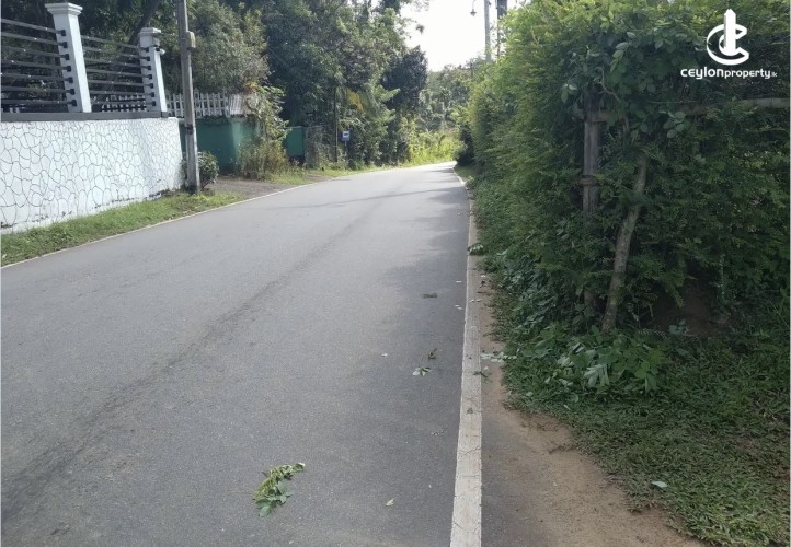 Land for Sale in Mirigama - Land for sale in meerigama - photo 8