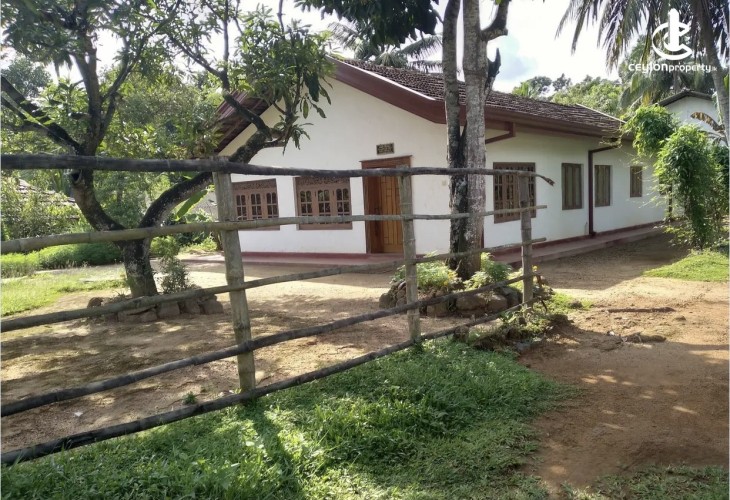 Land for Sale in Mirigama - Land for sale in meerigama - photo 9