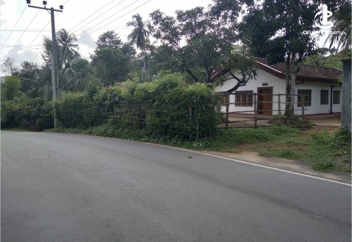 Land for Sale in Mirigama - Land for sale in meerigama - photo 10
