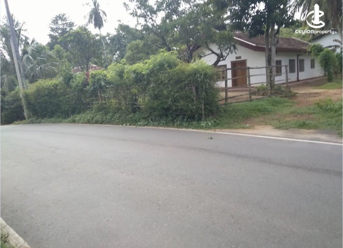 Land for Sale in Mirigama - Land for sale in meerigama - photo 11