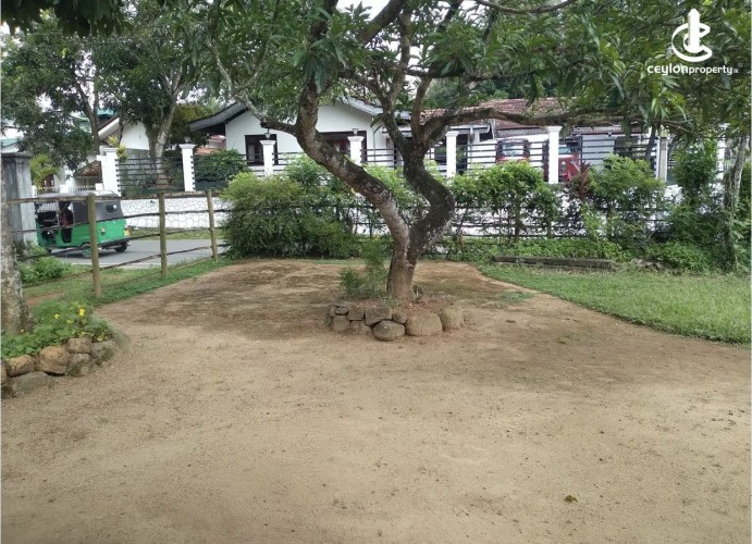Land for Sale in Mirigama - Land for sale in meerigama - photo 12