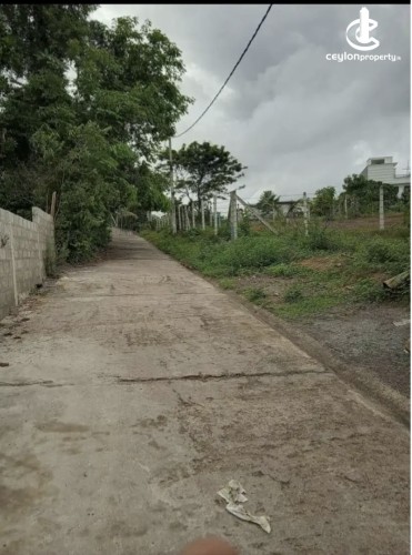 Land for Sale in Panadura - Land for sale in panadura - photo 5