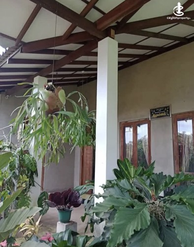 Land for Sale in Kuliyapitiya - Land for sale in kuliyapitiya - photo 3