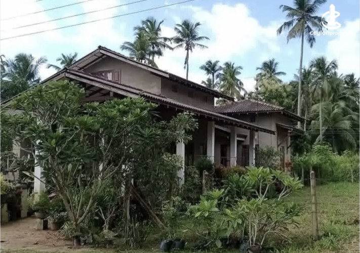 Land for Sale in Kuliyapitiya - Land for sale in kuliyapitiya - photo 5