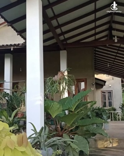 Land for Sale in Kuliyapitiya - Land for sale in kuliyapitiya - photo 7