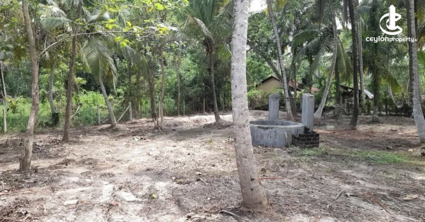 Land for Sale in Chilaw - Land for sale in bowatta - photo 3
