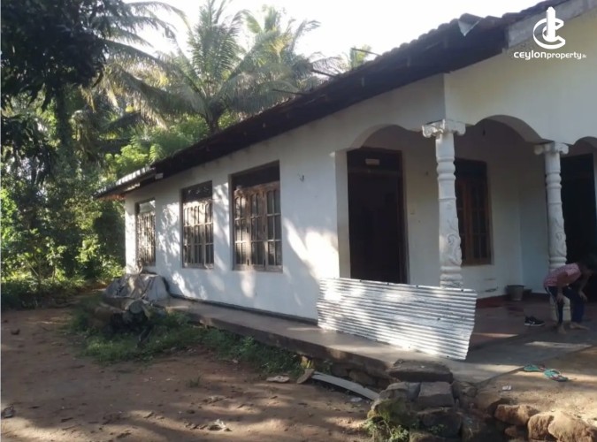Land for Sale in Matale - Land for sale in matale - photo 1
