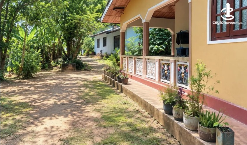 Land for Sale in Matale - Land for sale in matale - photo 1