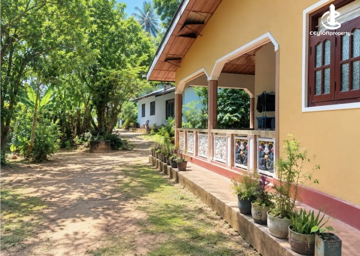 Land for Sale in Matale - Land for sale in matale - photo 2